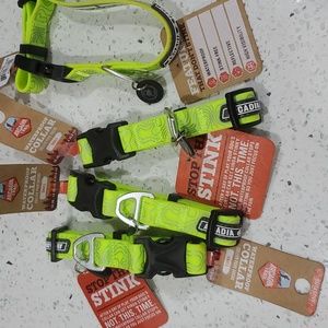 ARCADIA TRAIL COLLAR SIZE SMALL LIME GREEN